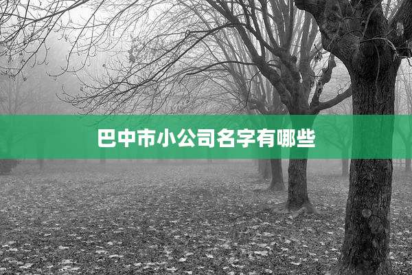 巴中市小公司名字有哪些