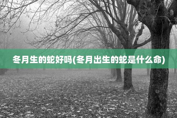 冬月生的蛇好吗(冬月出生的蛇是什么命)
