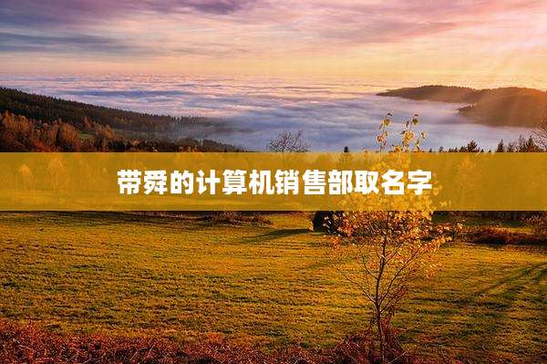 带舜的计算机销售部取名字