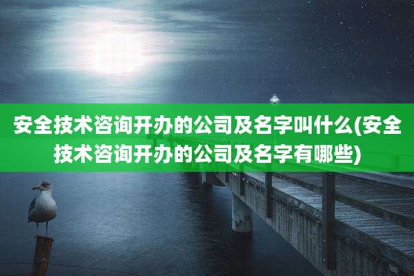安全技术咨询开办的公司及名字叫什么(安全技术咨询开办的公司及名字有哪些)