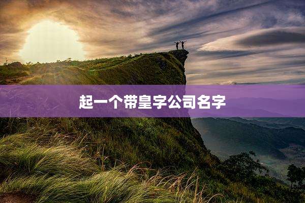 起一个带皇字公司名字