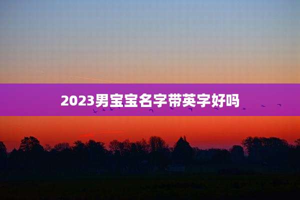 2023男宝宝名字带英字好吗