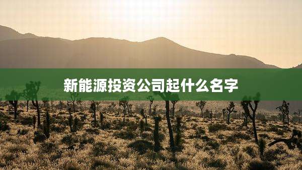 新能源投资公司起什么名字
