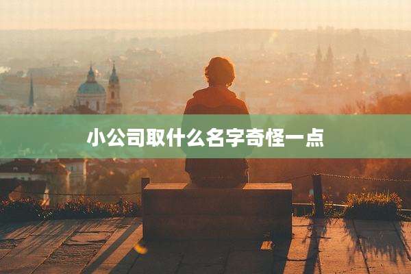 小公司取什么名字奇怪一点