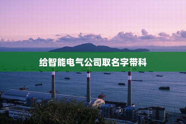给智能电气公司取名字带科