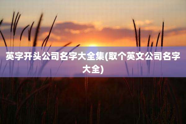 英字开头公司名字大全集(取个英文公司名字大全)