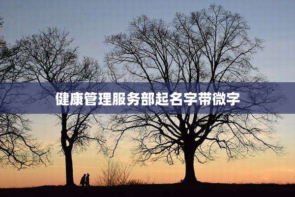 健康管理服务部起名字带微字