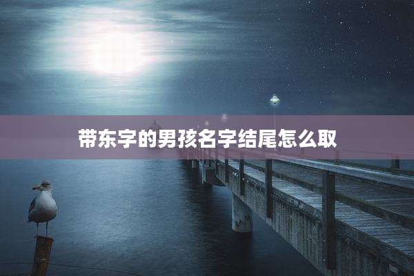 带东字的男孩名字结尾怎么取