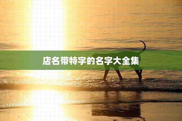 店名带特字的名字大全集