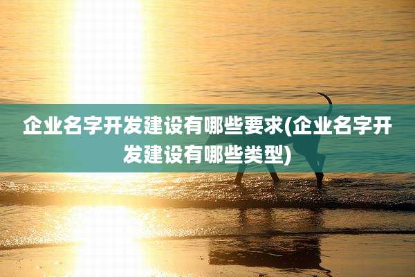 企业名字开发建设有哪些要求(企业名字开发建设有哪些类型)
