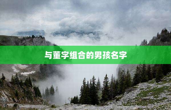 与董字组合的男孩名字