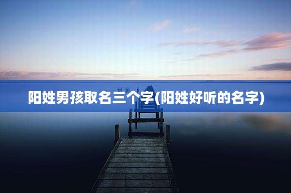 阳姓男孩取名三个字(阳姓好听的名字)