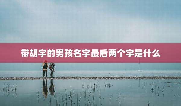 带胡字的男孩名字最后两个字是什么