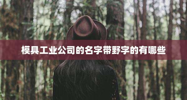 模具工业公司的名字带野字的有哪些