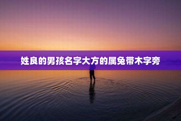 姓良的男孩名字大方的属兔带木字旁