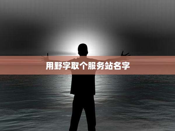 用野字取个服务站名字
