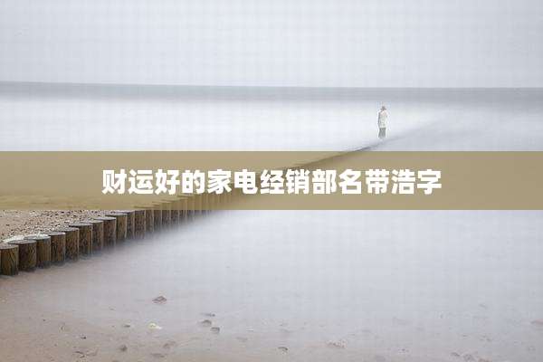 财运好的家电经销部名带浩字