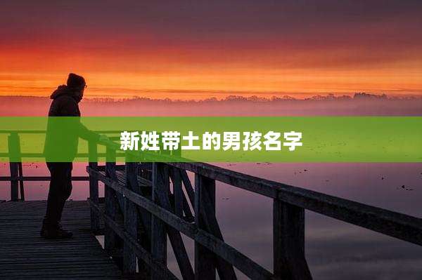 新姓带土的男孩名字