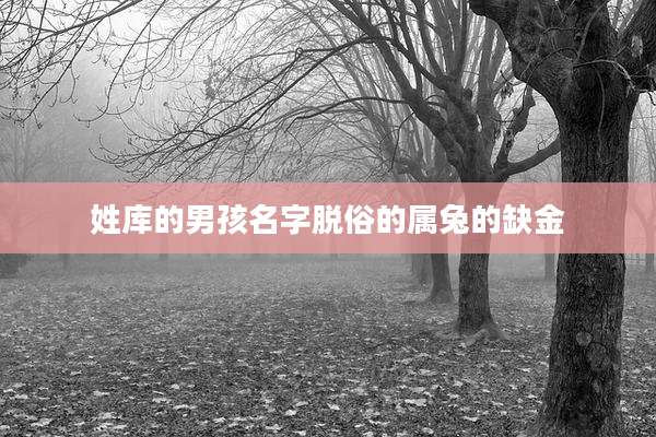 姓库的男孩名字脱俗的属兔的缺金