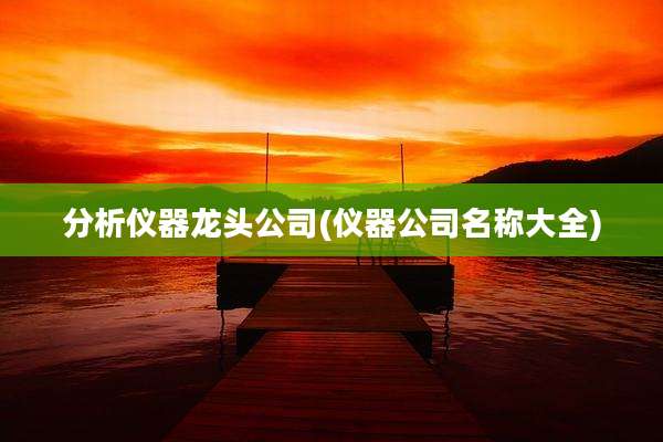 分析仪器龙头公司(仪器公司名称大全)