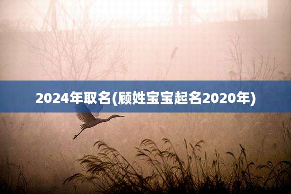2024年取名(顾姓宝宝起名2020年)