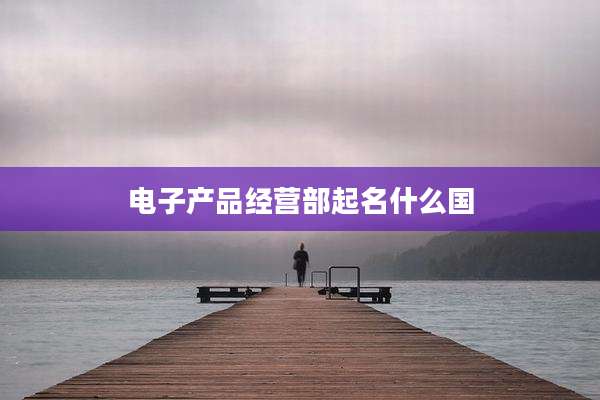 电子产品经营部起名什么国