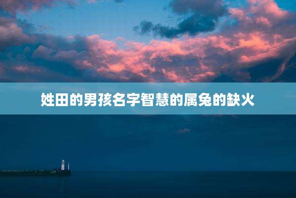 姓田的男孩名字智慧的属兔的缺火