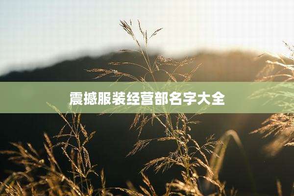 震撼服装经营部名字大全