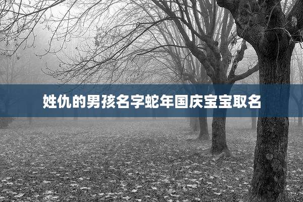 姓仇的男孩名字蛇年国庆宝宝取名