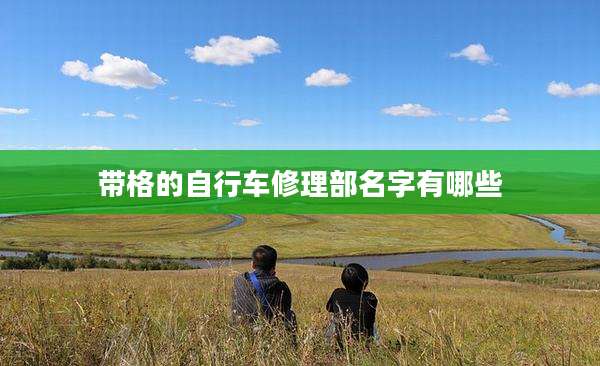 带格的自行车修理部名字有哪些