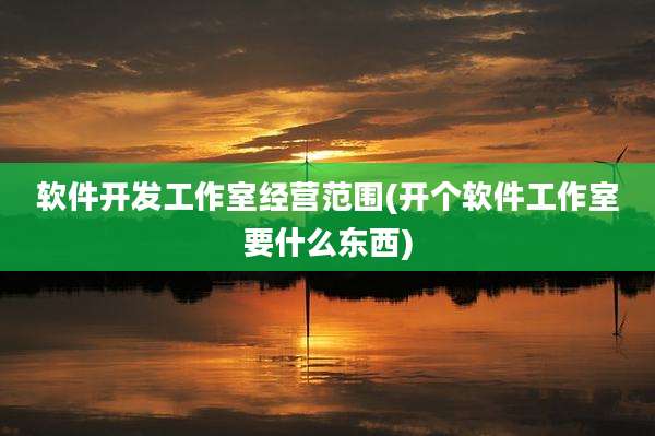软件开发工作室经营范围(开个软件工作室要什么东西)