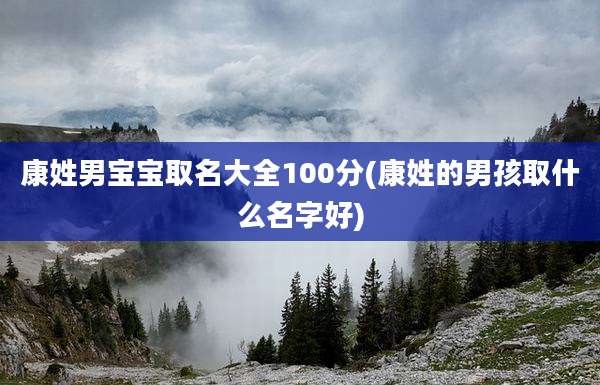 康姓男宝宝取名大全100分(康姓的男孩取什么名字好)