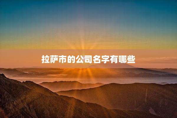 拉萨市的公司名字有哪些