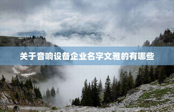 关于音响设备企业名字文雅的有哪些