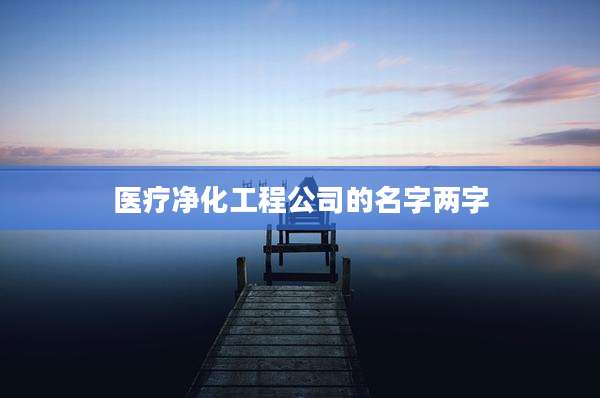 医疗净化工程公司的名字两字