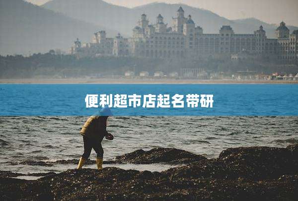 便利超市店起名带研