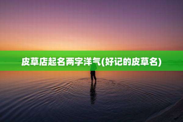 皮草店起名两字洋气(好记的皮草名)