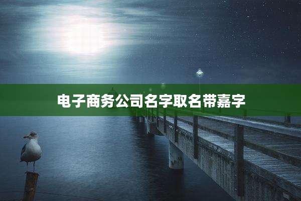 电子商务公司名字取名带嘉字
