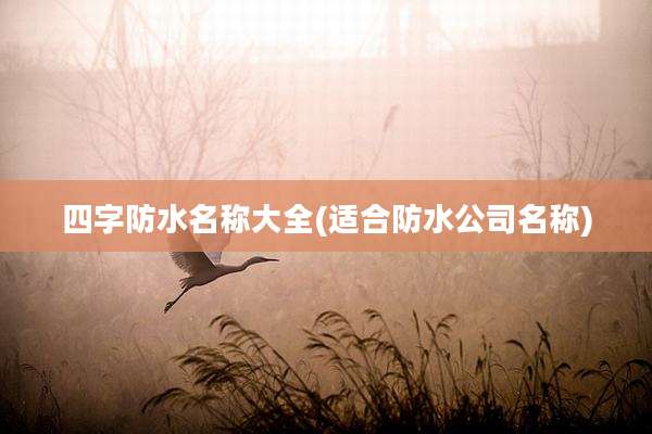 四字防水名称大全(适合防水公司名称)