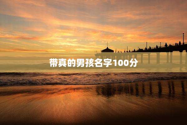 带真的男孩名字100分