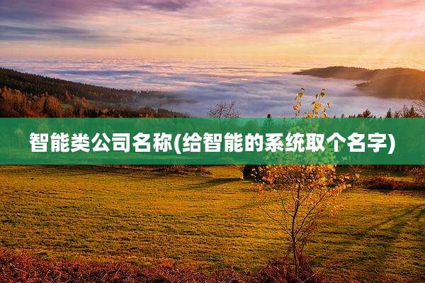 智能类公司名称(给智能的系统取个名字)