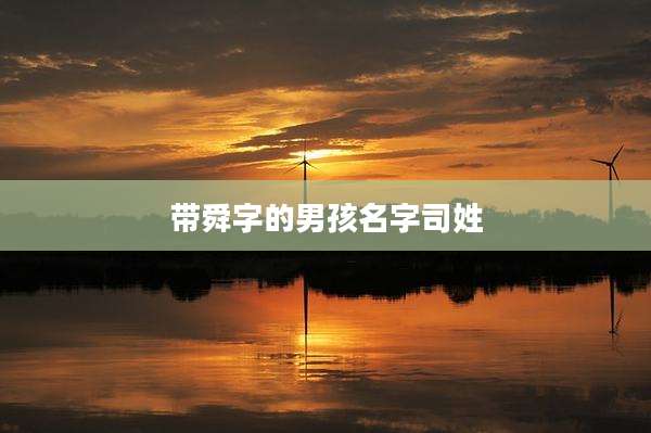 带舜字的男孩名字司姓