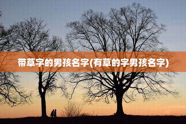 带草字的男孩名字(有草的字男孩名字)
