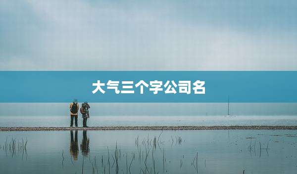大气三个字公司名