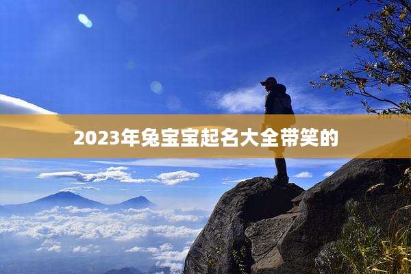 2023年兔宝宝起名大全带笑的