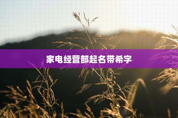 家电经营部起名带希字