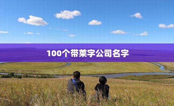 100个带莱字公司名字
