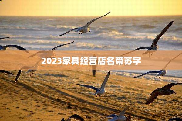 2023家具经营店名带苏字