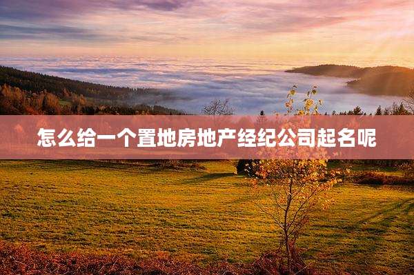 怎么给一个置地房地产经纪公司起名呢