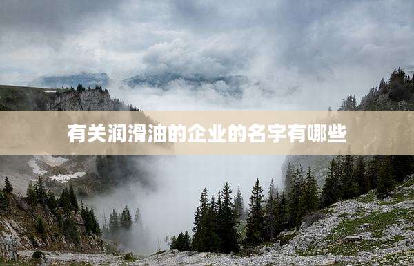 有关润滑油的企业的名字有哪些